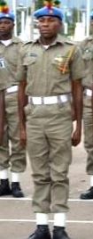 Peace Corps Establishment Bill