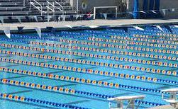 Olympic-sized swimming pool