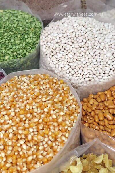 How to Start a Profitable Business in Nigeria