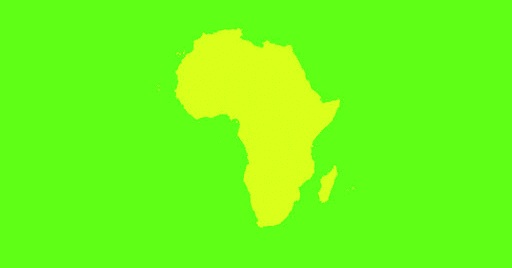 journalists from  Africa