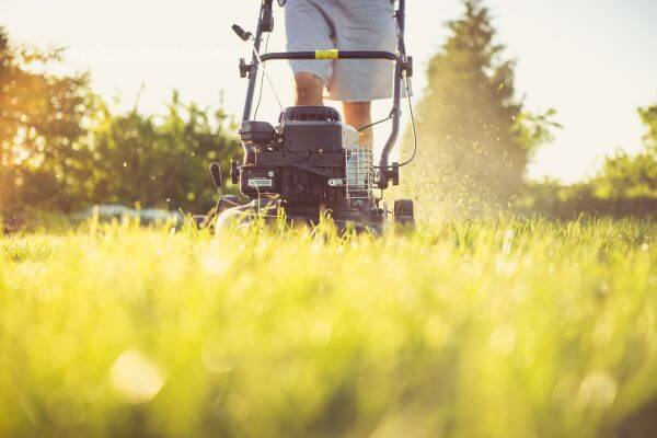 Grants For Starting A Lawn Care Business