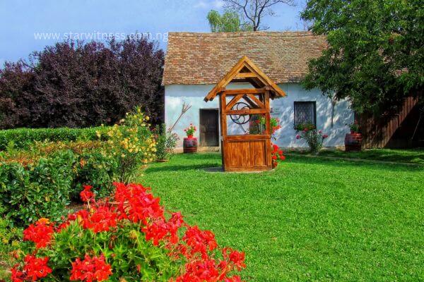 Grants For Starting A Lawn Care Business