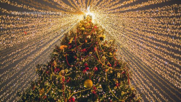 Festive Season Business Ideas