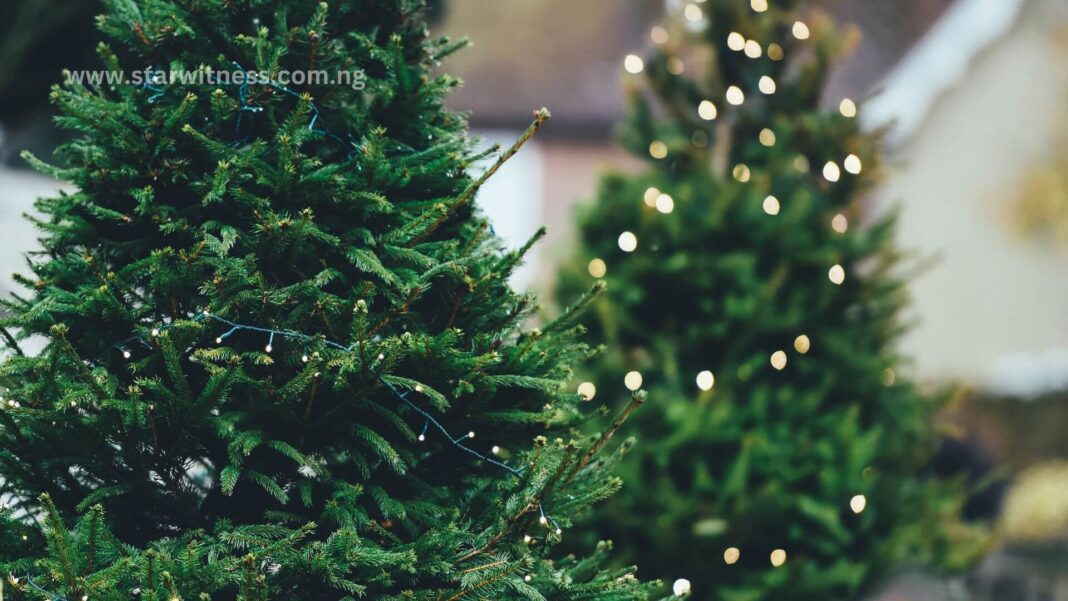 Festive Season Business Ideas