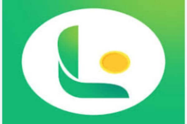 LendMax Loan App Requirements