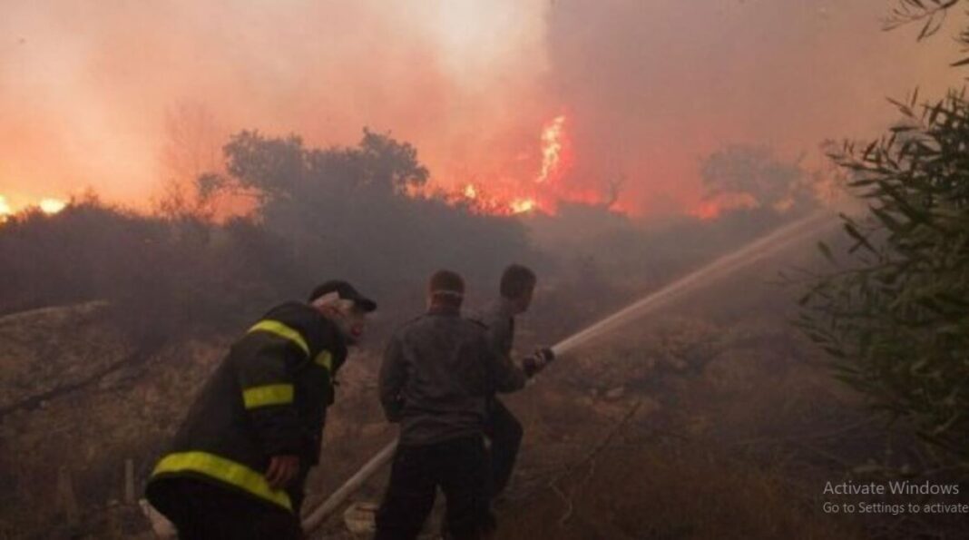 Israel wildfire