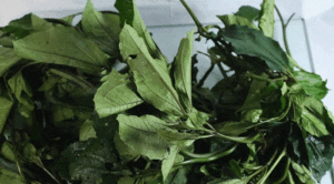 Nigerian Foods