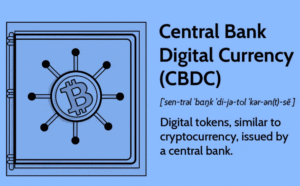 Central Bank Digital Currencies