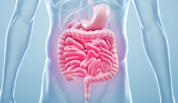 Digestive Health