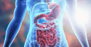 Digestive Health