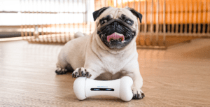 Smart Pet Devices