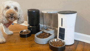 Smart Pet Devices